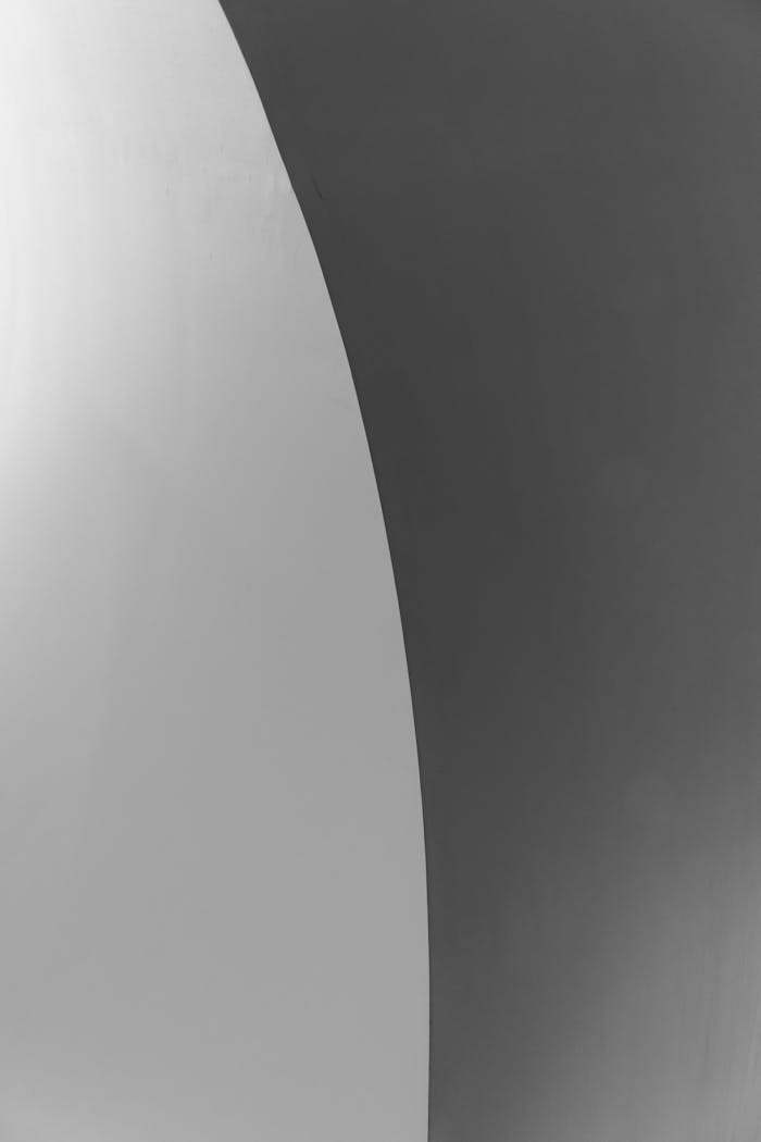 A high contrast black and white abstract image featuring smooth curved lines and minimalist design.